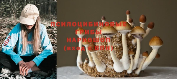 тгк Абинск